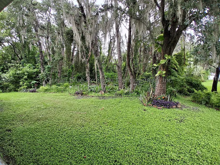 12928 Terrace Springs Dr — Photo 23