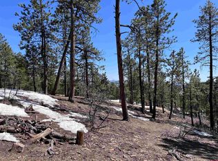 211 Blue Ridge Cir, Bayfield, CO 81122