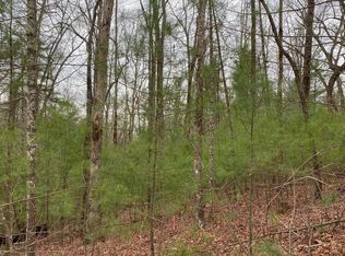 LOT 28 Watersong Trl, Ellijay, GA 30540