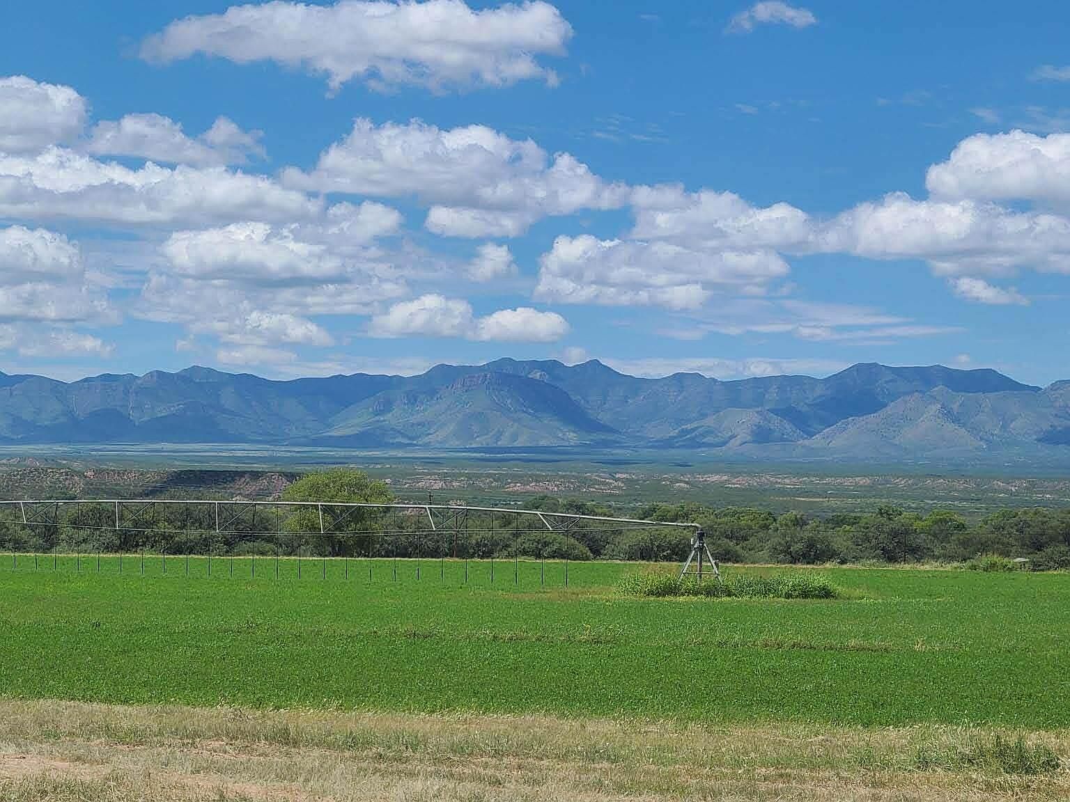 S Curtis Road Springs Farm 1, Saint David, AZ 85630 MLS 22319107