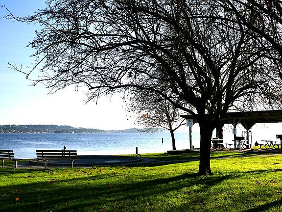 Relax at Magnuson Park near Park Manor apartments