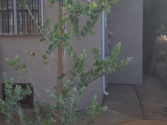 3rd image of 320 W 52nd Pl