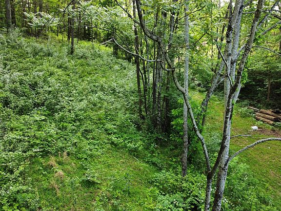 5th image of LOT 32 Ernie Roberts Rd