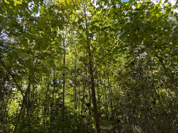 210 Skipper Ln Lot 1, Yorktown, VA 23693
