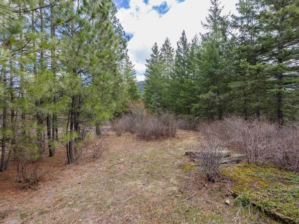 31 N South Jackson Rd, Elk, WA 99009