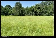 2nd image of Harris Ln