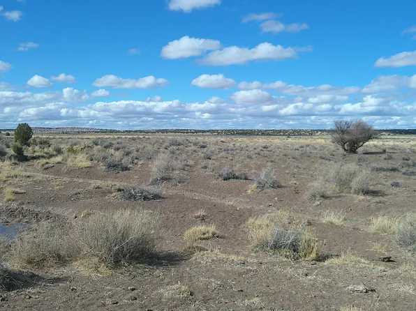 Woodland Valley Rnch, Saint Johns, AZ 85936