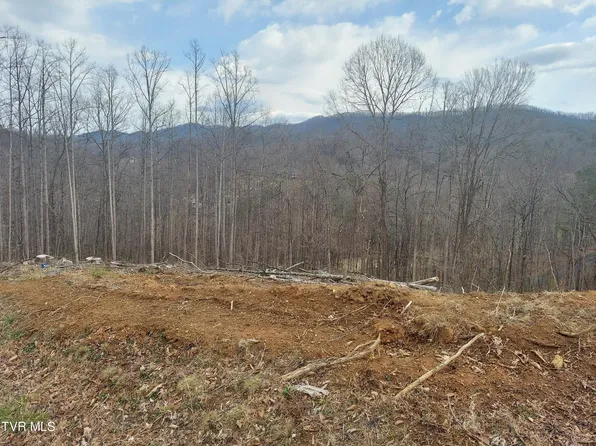 LOT 72 Golf Course Rd, Unicoi, TN 37692