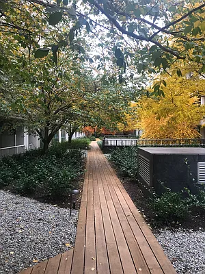 Rented by The Agency | media 12