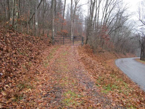 Pheasant Mountain Rd, Kerens, WV 26276