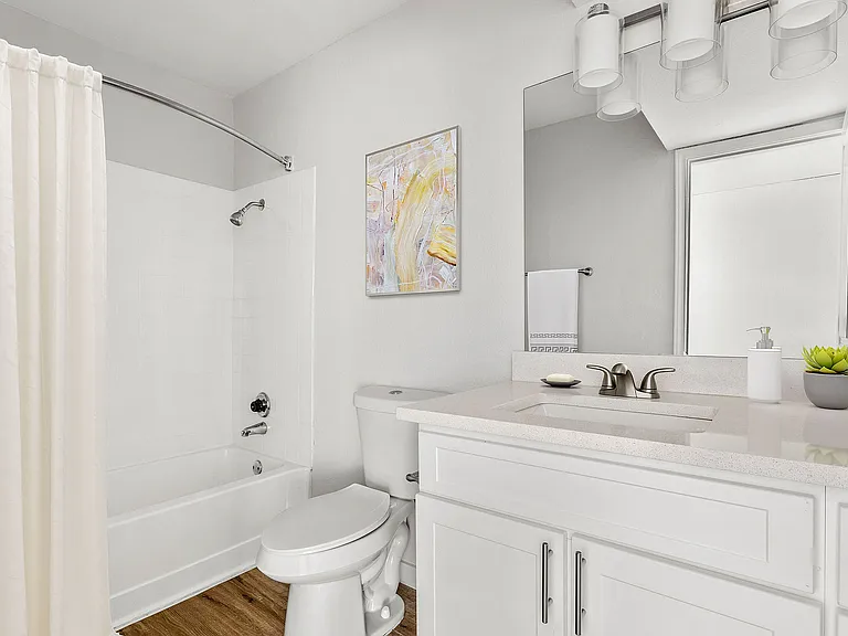 C242360_CallowayLasColinas_1B1B_Bathroom_02_VS_1