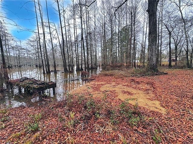 2nd image of 265 Pinckard Rd