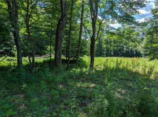 214 Larchwood Ln LOT 17, Laurens, NY 13796