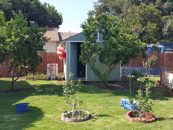 Garden Shed