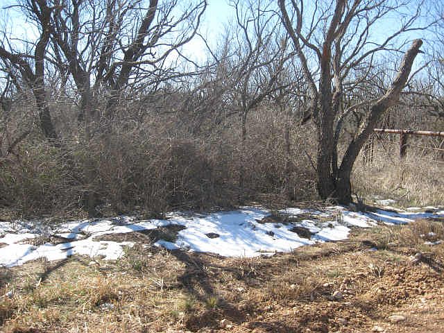 1st image of 851 County Road 298