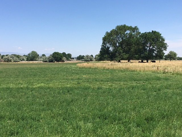 2nd image of Tbd E Locust Ln