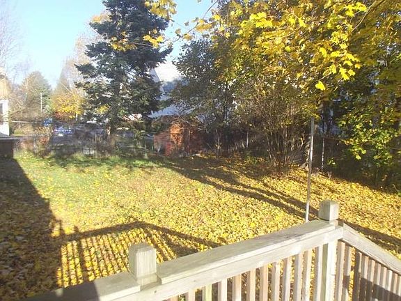 Back yard