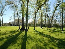 1st image of 3111 Acorn Wood Way