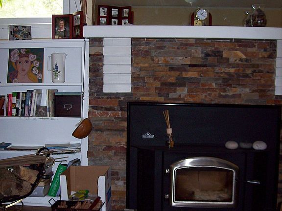 Napoleon fireplace insert