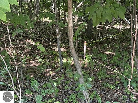 5th image of 61 Rolling Hills Dr