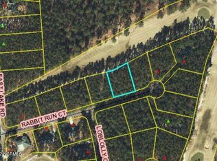 5 Rabbit Run Ct, Wagram, NC 28396