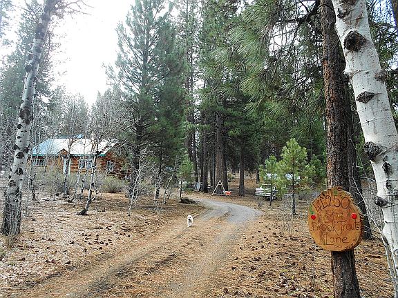 Main driveway to house