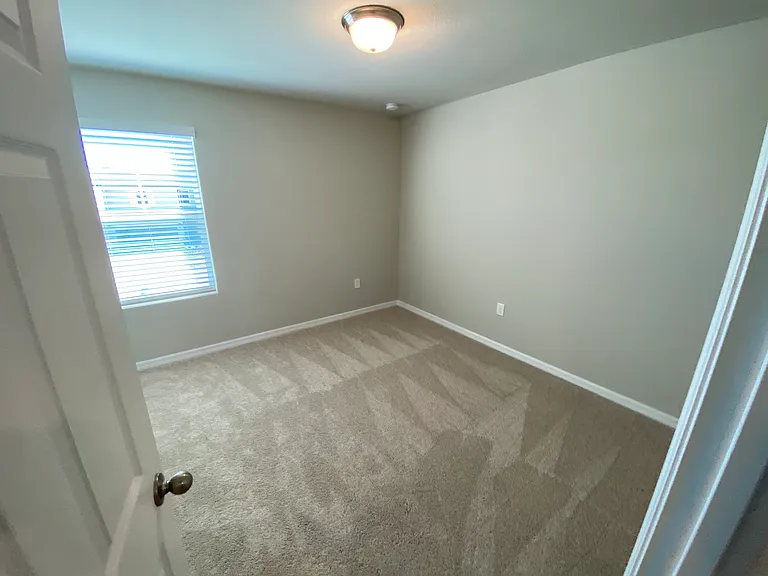 2506 Sweet Viburnum Way — Photo 7