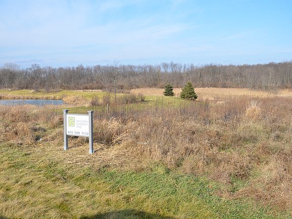 Open Lot with side pond