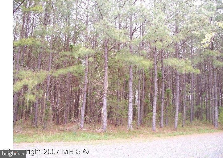 2nd image of 29196 Buck Rub Rd