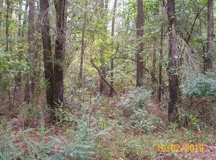 0 N Chubb Rd, Willard, NC 28478