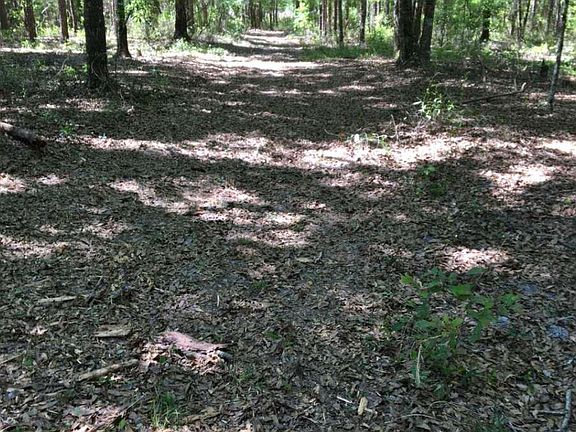 5th image of LOT 17 172nd Pl