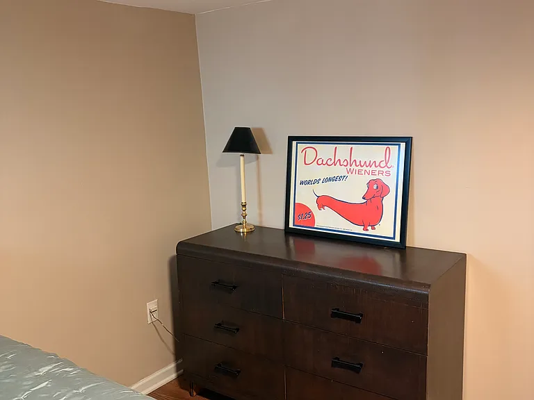 Downstairs bedroom