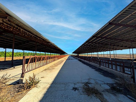 3rd image of 19542 N Jack Tone Rd