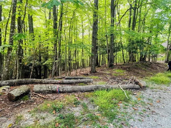 103 Spicewood Lane, Beech Mountain, NC 28604