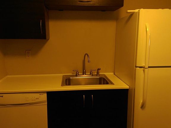 The kitchen has a dishwasher!
