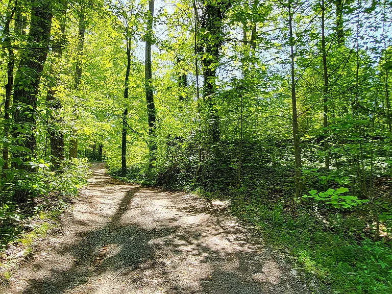 243 Chase Dr — Photo 2