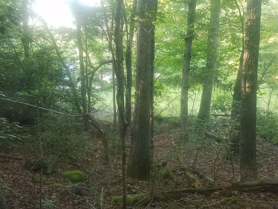 2nd image of LOT 1 Bluebird Ln