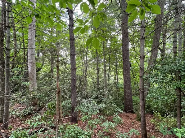 33 Woodglen Ct, Flat Rock, NC 28731