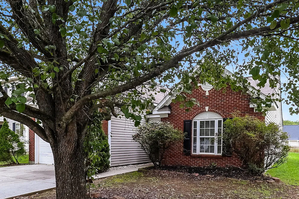 4 bed, 2.0 bath, 1643 sqft, $2,040 — Photo 4