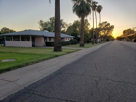 Beautiful treelined street