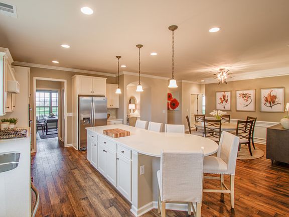 Model Representation