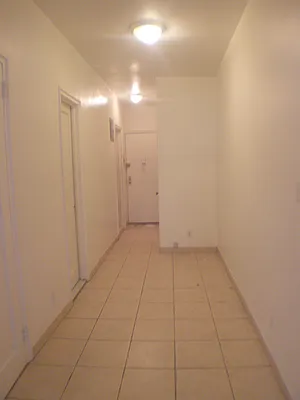 Rented by Blue Star Apartments | media 20