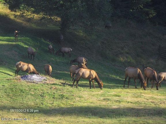 Nature Park