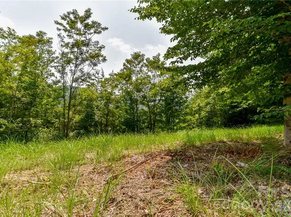 319 The Vines Blvd #21, Marshall, NC 28753