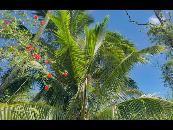 Ina St Lot 12, Pahoa, HI 96778
