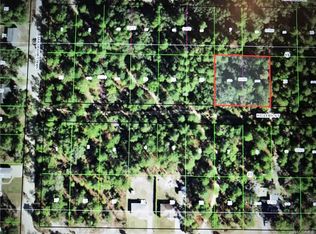 2806 Hillery St, Inverness, FL 34452