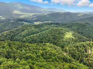 Buckeye Hollow Rd, Damascus, VA 24236