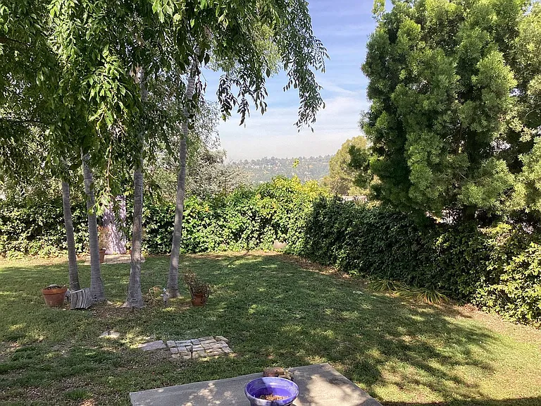 1125 Pagoda Pl — Photo 13