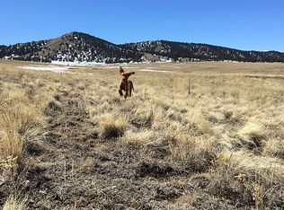 745 Park Rd, Hartsel, CO 80449