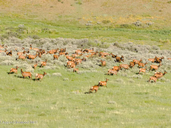 County Road 57, Hayden, CO 81639